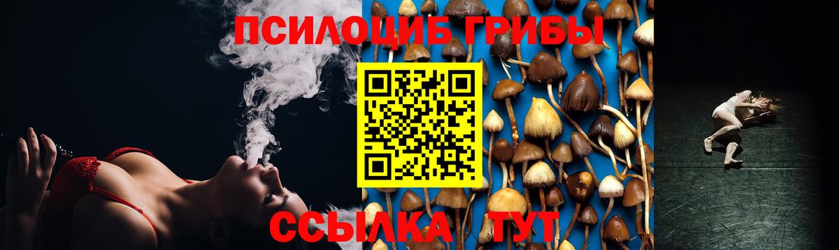 Галлюциногенные грибы мицелий Белгород