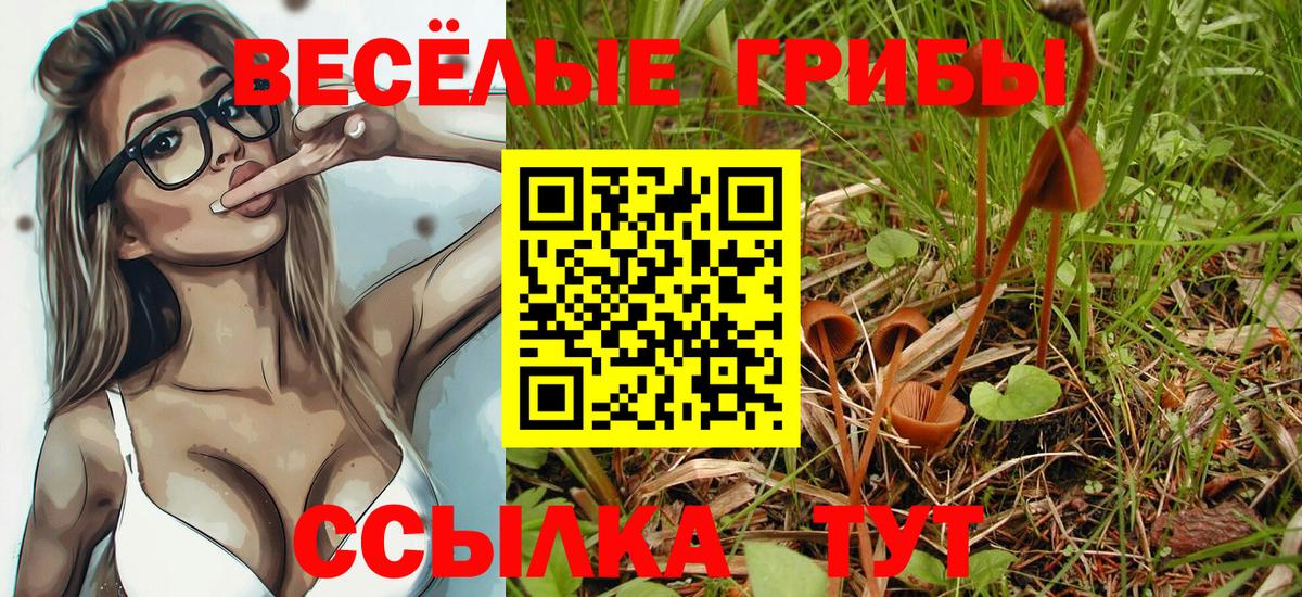 Белгород  Псилоцибиновые грибы Psilocybe  Вход с VPN 