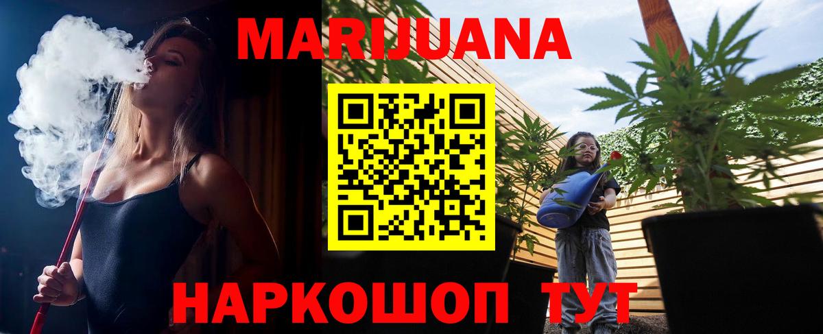 Бошки Шишки план Белгород